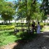 Medicinhaven