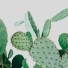 Boligcious: Boligtrend – Kaktusser og sukkulenter