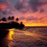 Aloha! Hawaii, en foretrukken rejsedestination!