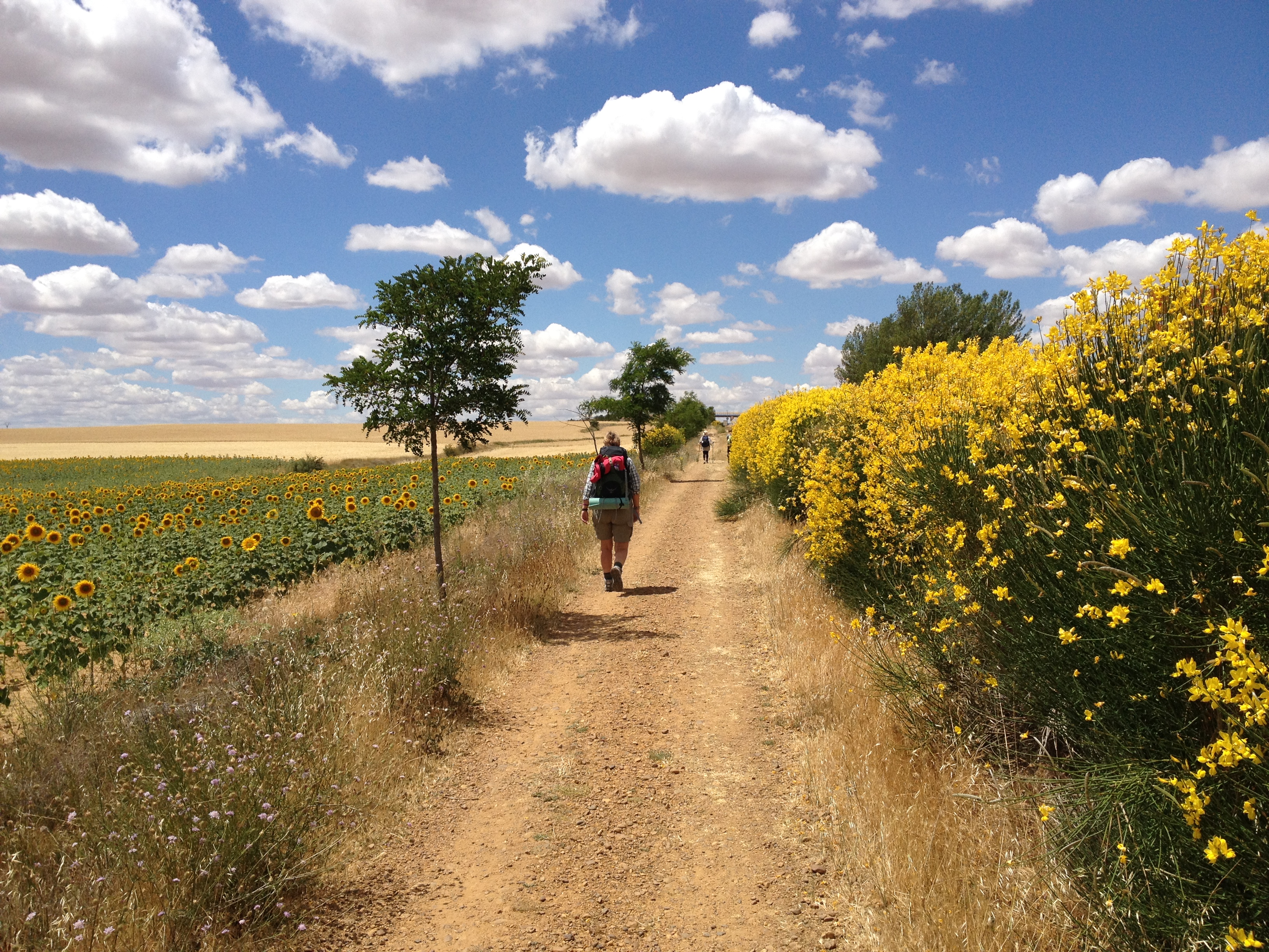 pilgrim – Skal du også gå Caminoen?